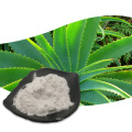 Aloe Vera Gel Freeze Dried Extract Powder